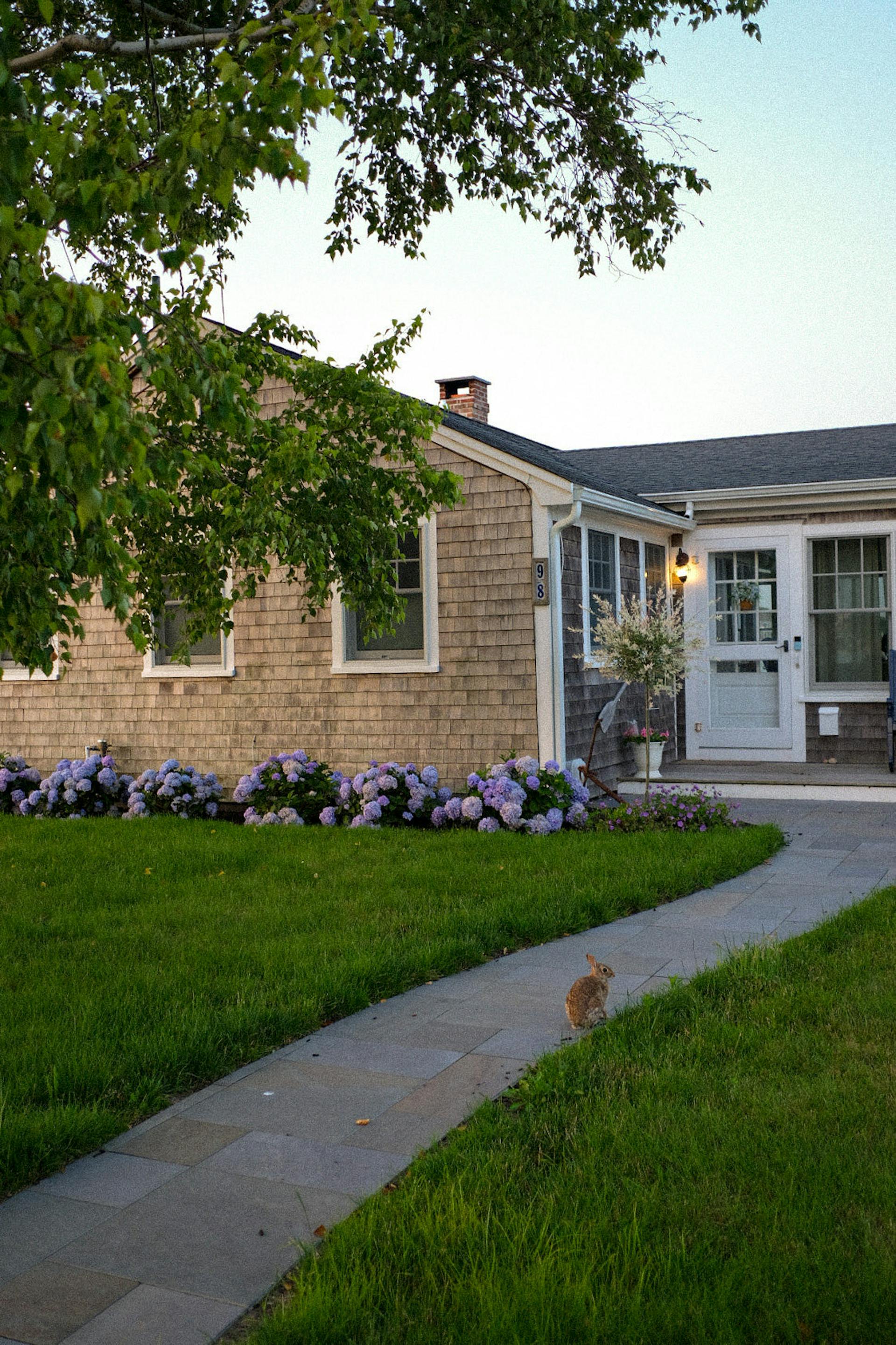 A suburban house | Source: Pexels